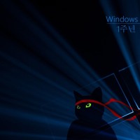 Windows_Insider_Anniversary-Ninjacat-1024x768-ko-KR.jpg